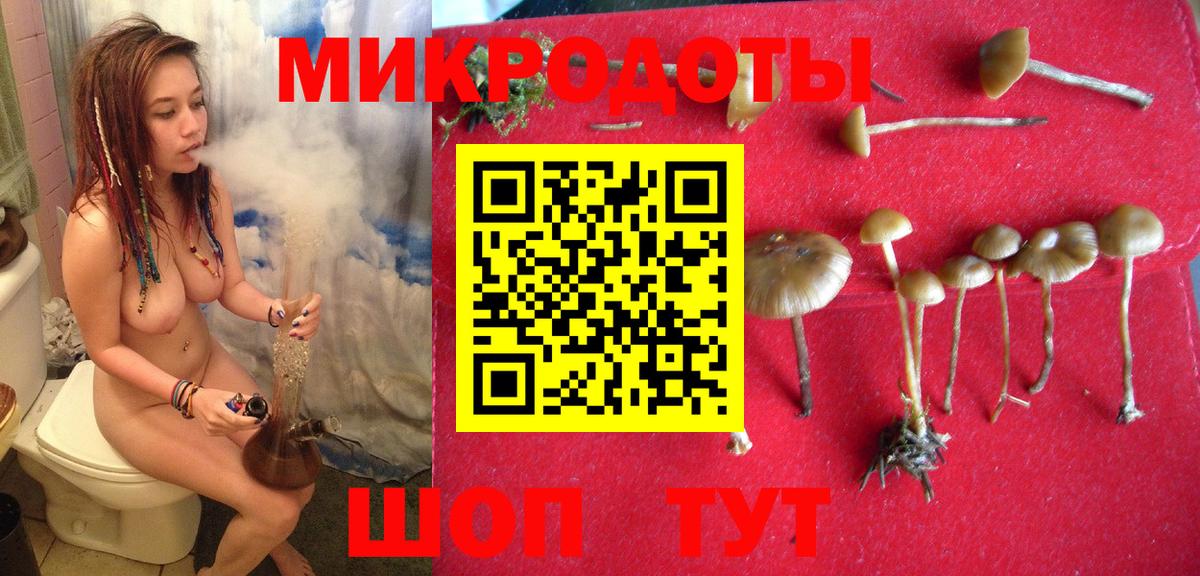Псилоцибиновые грибы прущие грибы  Вход с VPN  Псилоцибиновые грибы Cubensis  где найти наркотики  Нижневартовск 